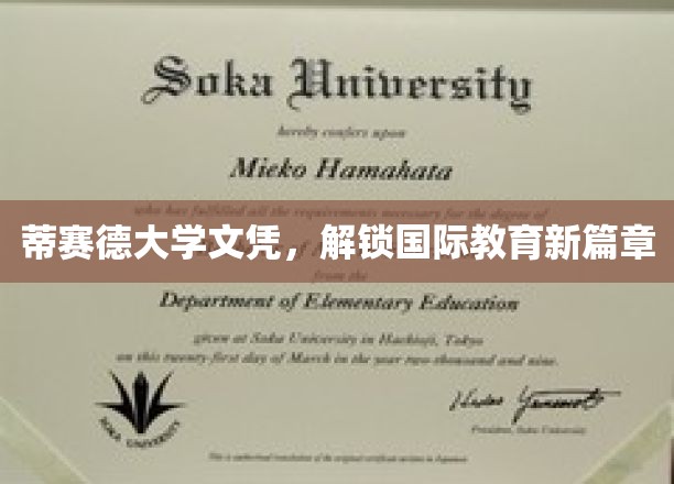 国际视野新起点，蒂赛德大学文凭开启教育新纪元
