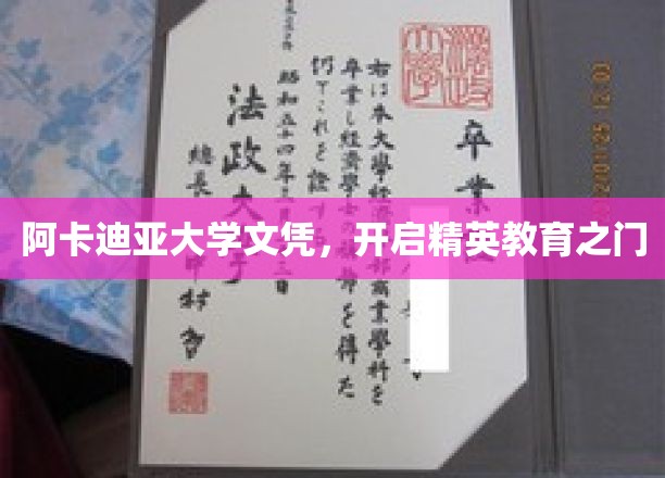 阿卡迪亚荣耀，解锁精英教育新篇章