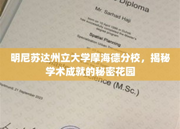 明尼苏达州立大学摩海德分校，揭秘学术成就的秘密花园