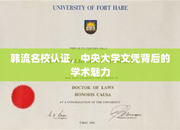 韩流名校光环下的中央大学，揭秘文凭背后的学术魅力
