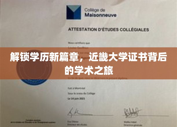 揭秘学历新高度，近畿大学证书背后的学术探索之旅