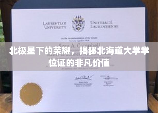 探寻北海道大学学位证的北极之光，非凡成就背后的荣耀之路