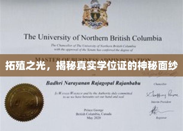揭开学历认证的神秘面纱，拓殖之光下的真实学位证探秘