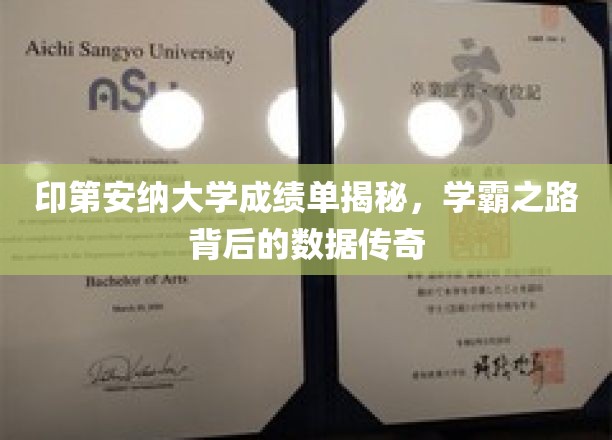 探寻印第安纳大学学霸的秘密，成绩单背后的数据传奇揭秘