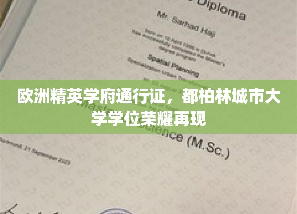 欧洲精英学府通行证，都柏林城市大学学位荣耀再现