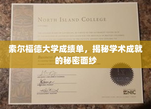 索尔福德大学成绩单背后的学术风采揭秘之旅