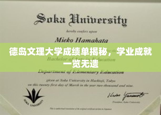 德岛文理大学学业秘境，一纸成绩单映照学术辉煌