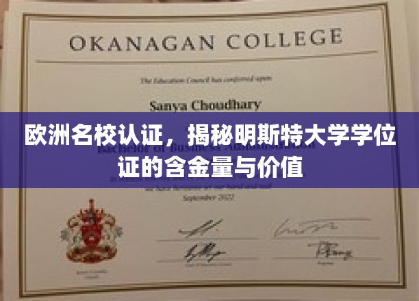 欧洲名校认证，揭秘明斯特大学学位证的含金量与价值