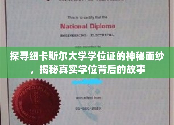 揭开纽卡斯尔大学学位证的神秘面纱，探寻真实学位背后的故事