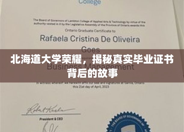 北海道大学辉煌见证，毕业证书背后的不凡传奇
