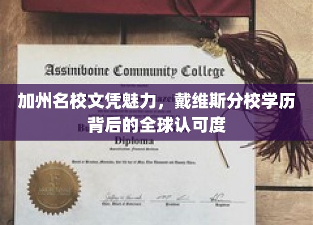 加州名校文凭魅力，戴维斯分校学历背后的全球认可度