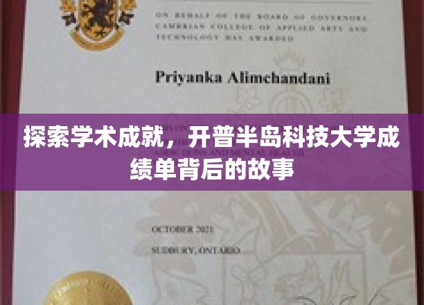 揭秘开普半岛科技大学，学术精英的辉煌足迹与不凡历程