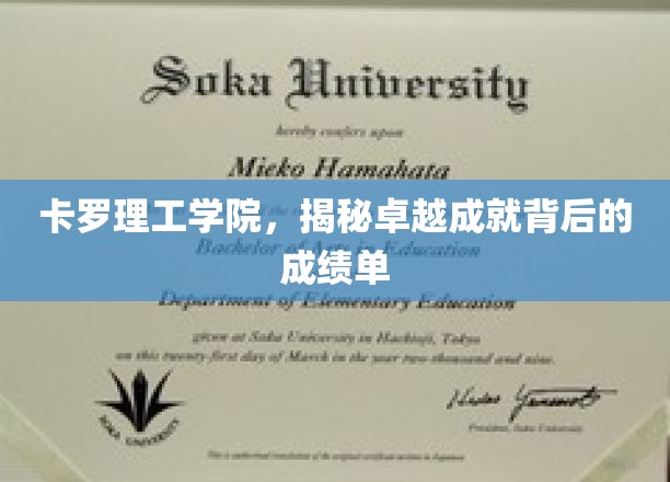 解码卡罗理工学院的辉煌成就，揭秘成绩单背后的秘密力量