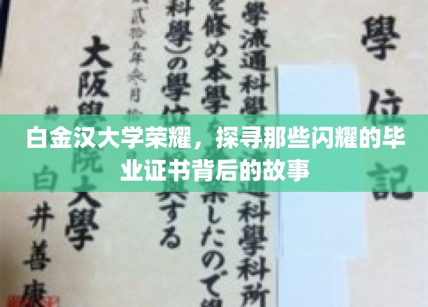 白金汉荣耀解码，毕业证书背后的璀璨传奇