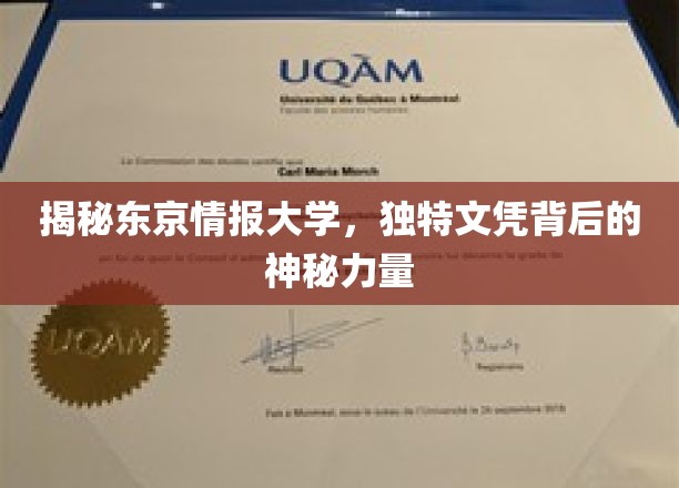 解码东京情报大学，独特文凭背后的神秘魅力