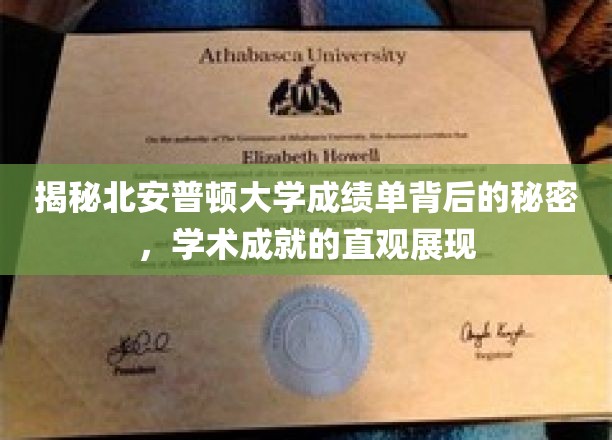揭秘北安普顿大学成绩单背后的秘密，学术成就的直观展现