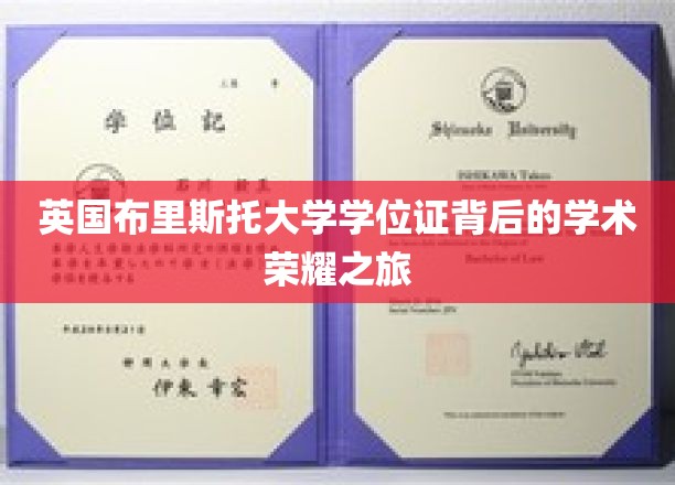 探寻布里斯托大学学位证背后的璀璨学术足迹