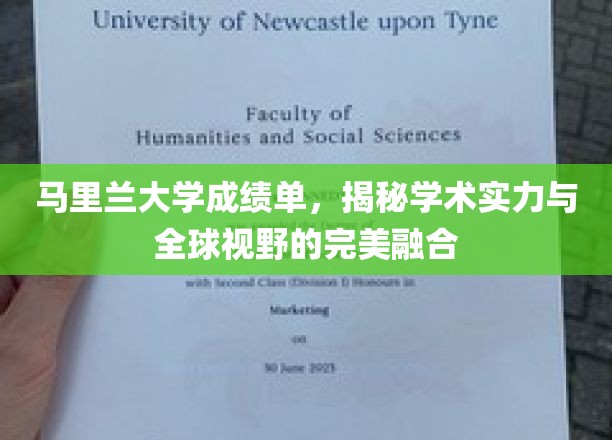 马里兰大学成绩单背后的全球视野与学术实力双响曲