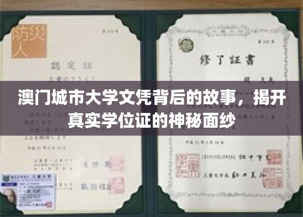 澳门城大文凭探秘，一纸学位证背后的传奇与真相