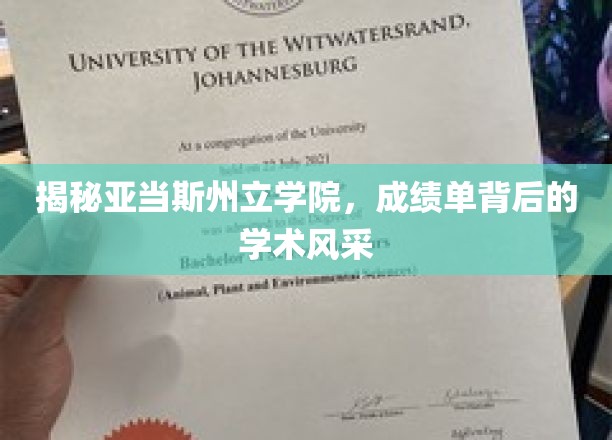 探寻亚当斯州立学院，成绩单中的学术魅力与卓越风采