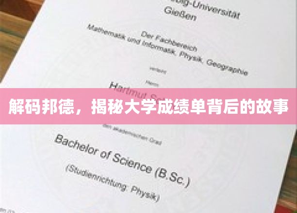 揭开学霸秘密，大学成绩单背后的神秘面纱