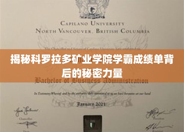 解码科罗拉多矿业学院学霸们的惊人成绩背后的神秘力量