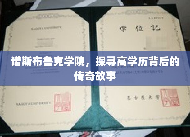 揭秘诺斯布鲁克学院，高学历背后的璀璨传奇