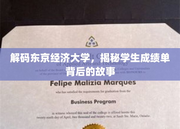 解码东京经济大学，揭秘学生成绩单背后的故事