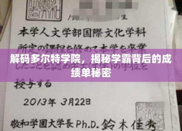 探秘多尔特学院，揭秘学霸们的卓越成绩秘诀