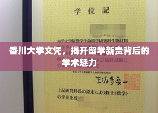 香川大学学历闪耀，留学新贵如何绽放学术光芒？