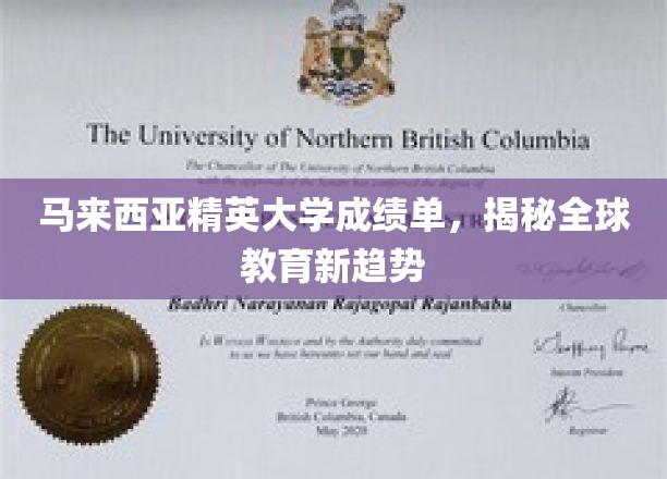 马来西亚精英大学成绩单，探秘教育界的革新风向标