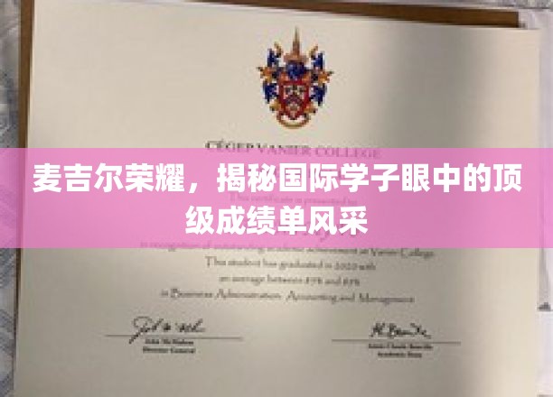 国际精英眼中的麦吉尔星光，揭秘顶尖学子成绩单背后的风采