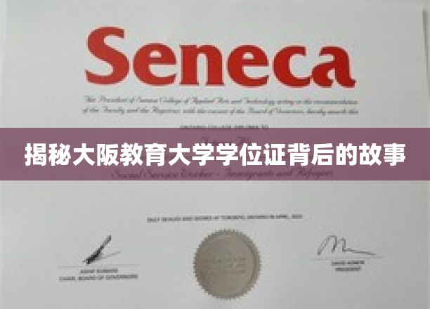 大阪教育大学学位证的传奇之路