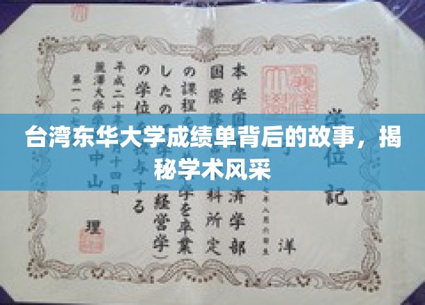 台湾东华大学成绩单，探寻背后的学术魅力与传奇故事