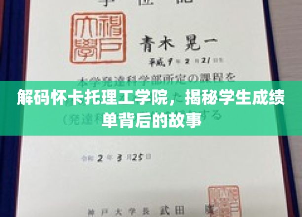 揭开怀卡托理工学院成绩单背后的秘密世界