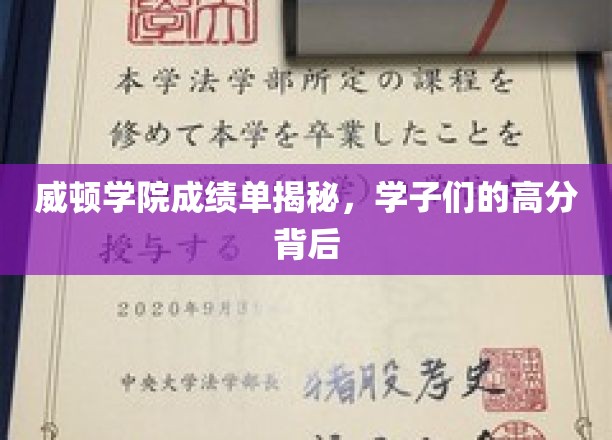 威顿学子高分之谜，揭秘成绩单背后的秘密力量