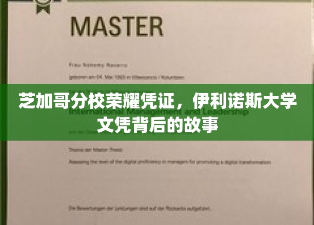 芝加哥分校荣耀凭证，伊利诺斯大学文凭背后的故事