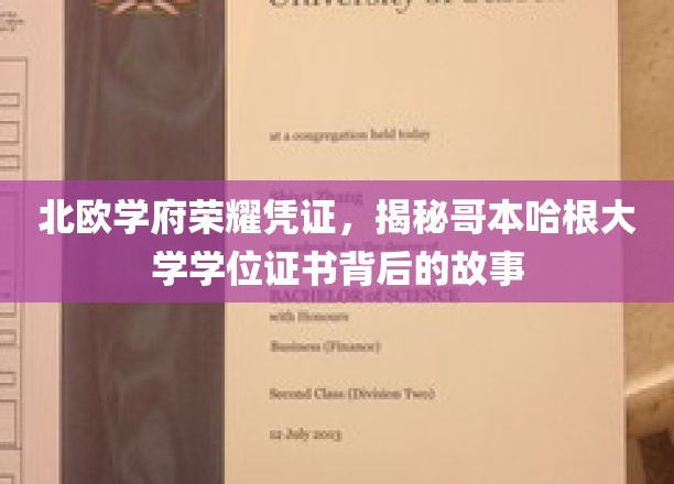北欧学府荣耀凭证，揭秘哥本哈根大学学位证书背后的故事