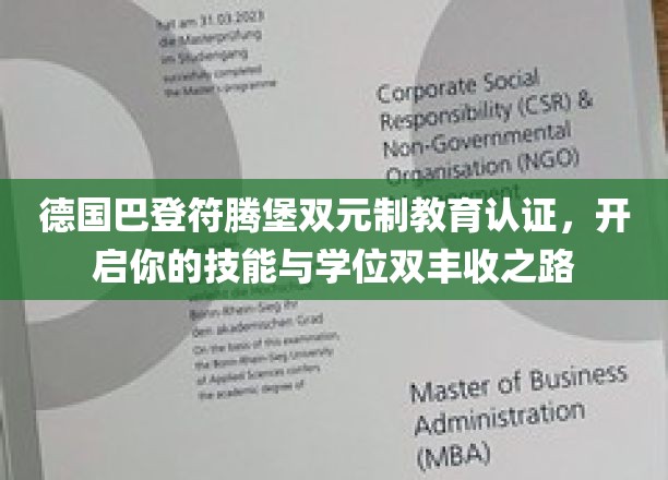 掌握未来，双元制教育在巴登符腾堡助力技能与学位双赢