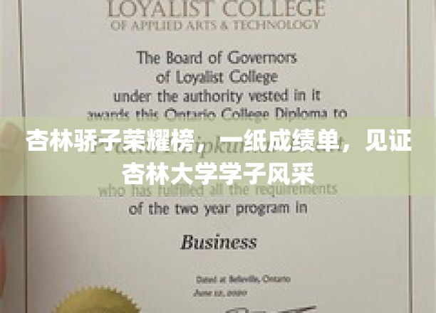 杏林精英风云录，成绩单背后的杏林大学骄子风采