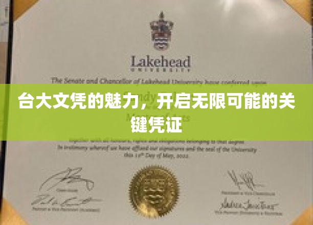 台大文凭的魅力，开启无限可能的关键凭证