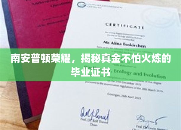 南安普顿荣耀，揭秘真金不怕火炼的毕业证书