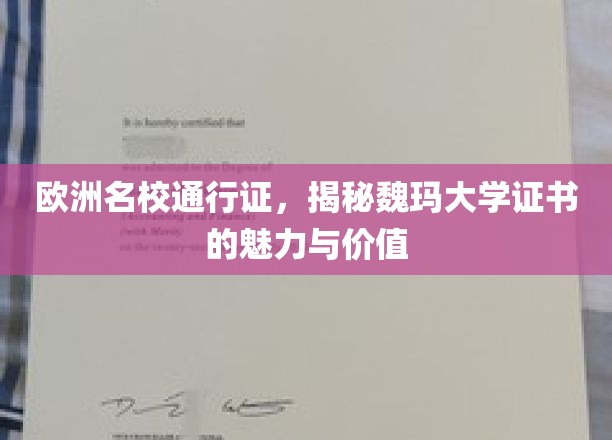 欧洲精英学府通行证，魏玛大学证书的非凡魅力与无限价值