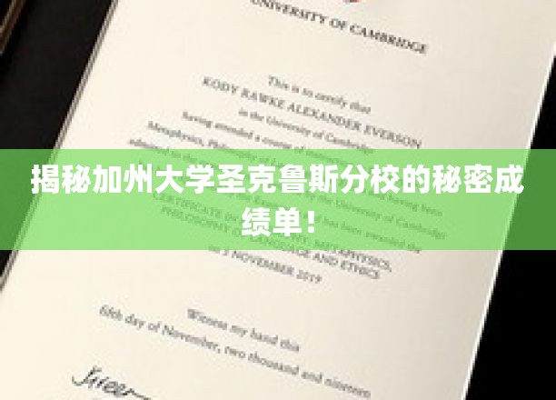 揭秘加州大学圣克鲁斯分校的秘密成绩单！