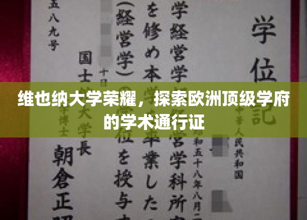 解锁维也纳大学之光，探寻欧洲顶尖学术殿堂的秘密钥匙