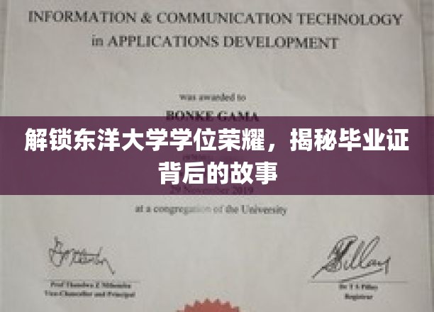解锁东洋大学学位荣耀，探寻毕业证背后的故事