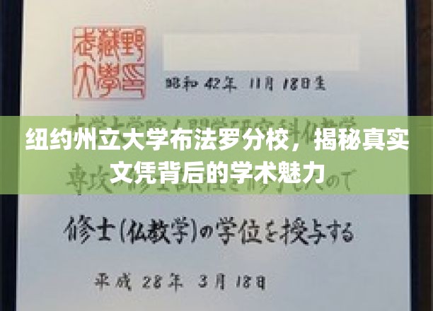 探寻纽约州立大学布法罗分校，文凭背后的学术风采与魅力