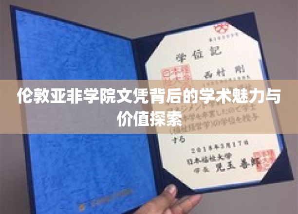 伦敦亚非学院文凭背后的学术魅力与价值探索
