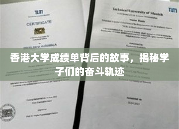 香港大学成绩单背后的故事，揭秘学子们的奋斗轨迹