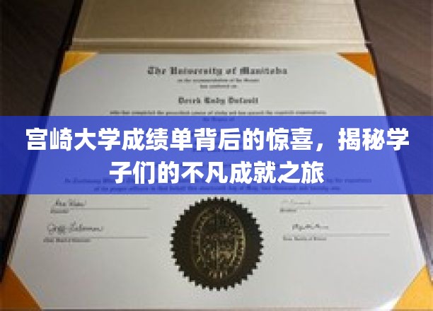 宫崎大学成绩单揭秘，隐藏在数字背后的学霸传奇